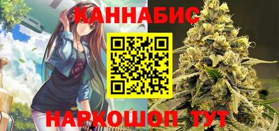 гидра Заводоуковск