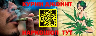 гидра Заводоуковск